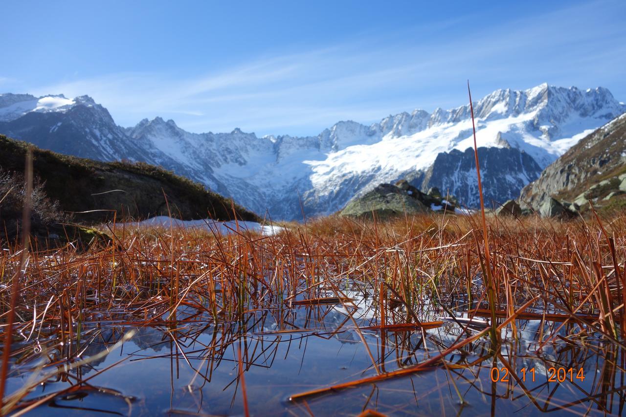 Gasthaus Goescheneralp Göschenen Dış mekan fotoğraf